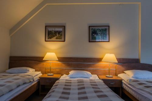 Ένα ή περισσότερα κρεβάτια σε δωμάτιο στο Noclegi Mosorny Groń