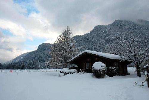 a cabin covered in snow in front of a mountain at Salzano Basic Rooms Interlaken in Interlaken
