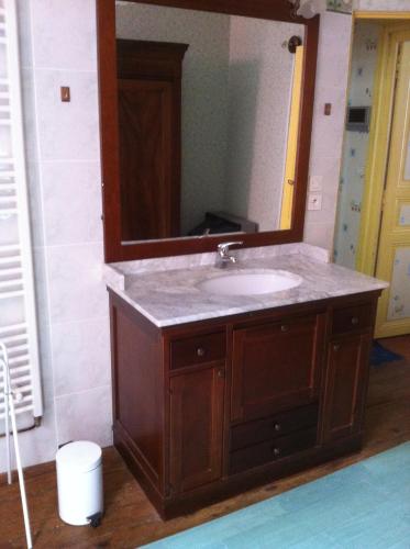 een badkamer met een wastafel en een grote spiegel bij Appartement Hyper Centre proche tram in Angers
