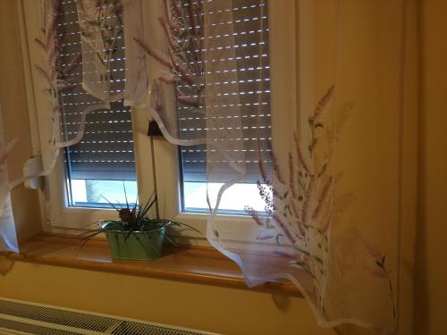 a window with a plant sitting on a window sill at Levendulás ház in Becsehely
