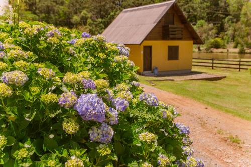 a bush of purple flowers in front of a small building at Leão De Judá in Canela