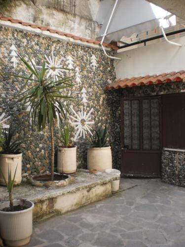 a group of potted plants in front of a building at Zavrakli in Agia Paraskevi