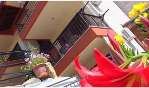 Gallery image of Villa Athina Gia in Sarti