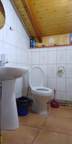 a bathroom with a toilet and a sink at Апартаменти "У Кузьмича" трикімнатні in Mykulychyn