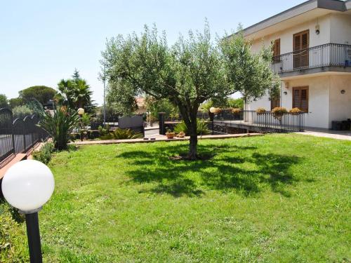 drzewo na podwórku przed domem w obiekcie I capricci dell'Etna 1 di Puglisi w mieście Mascalucia