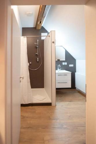 a bathroom with a shower and a sink at Lebererhof Apartments in Roßtal