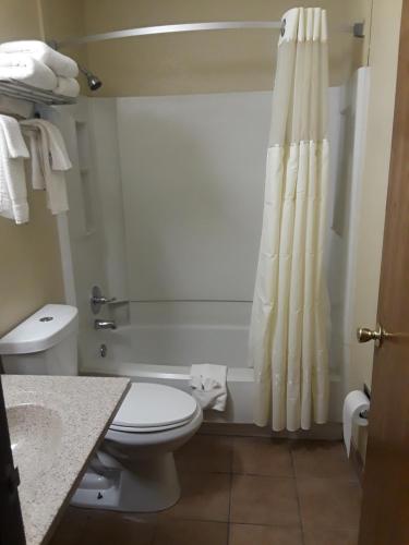 a bathroom with a white toilet and a shower at Faribault Hometown Inn & Suites in Faribault