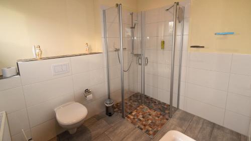 a bathroom with a shower and a toilet and a sink at Haus Wopke in Borkum