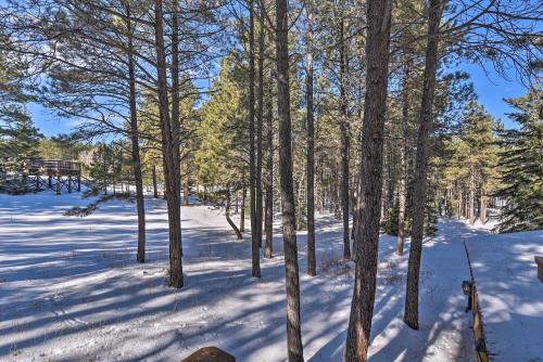 a forest of trees with snow on the ground at Angel Fire Cabin Less Than 3 Miles to Skiing, Golf and Lake in Angel Fire