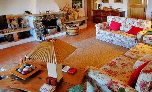 a living room with two couches and a fireplace at SeteQuintas in Zambujeira do Mar