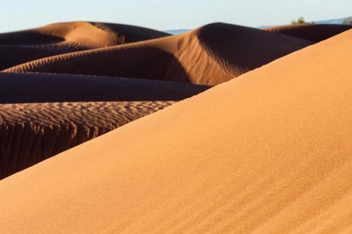 Φωτογραφία από το άλμπουμ του Desert Camp Laila σε Mhamid