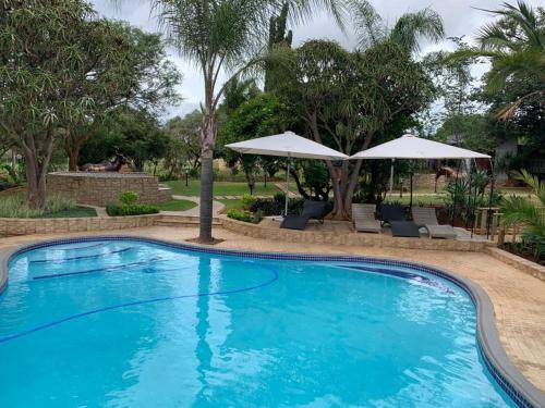 a large swimming pool with chairs and umbrellas at La Fiato Luxury Lodge in Dalmada AH