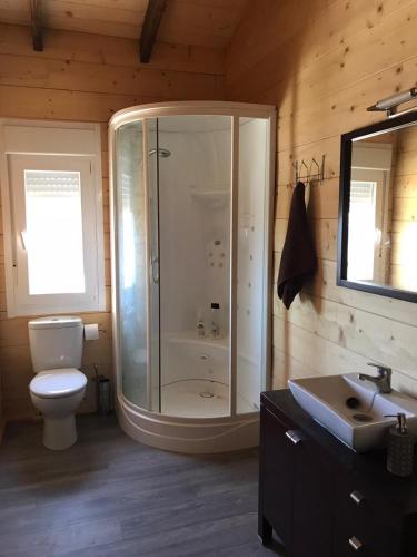 a bathroom with a shower and a toilet and a sink at Casa rural Vega alta in Madridejos
