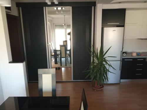 uma cozinha com uma mesa e uma planta num quarto em Brand New Apt in City Center em Bitola