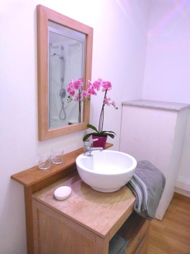 La salle de bains est pourvue d'un lavabo, d'un miroir et de fleurs. dans l'établissement le 99B Modern apartment queen size bed connected TV, à Hallennes-lès-Haubourdin