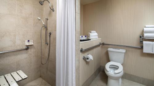 a bathroom with a shower with a toilet and a shower at Anaheim Majestic Garden Hotel in Anaheim