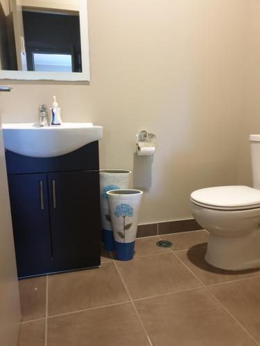 a bathroom with a sink and a toilet at Tron Central in Hamilton