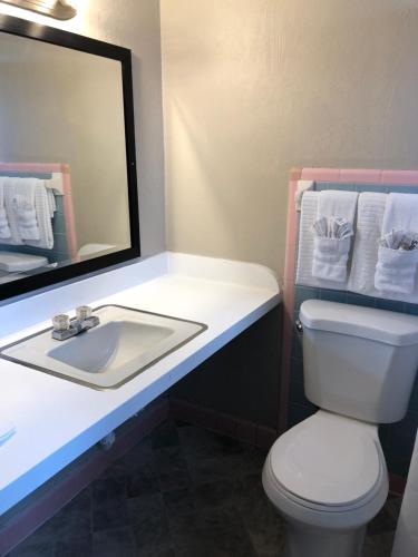 Ванная комната в Ocala Cove Motel