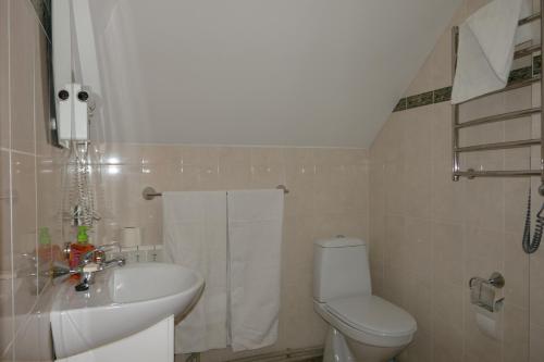 DilyatynにあるЛелекаのバスルーム(白い洗面台、トイレ付)