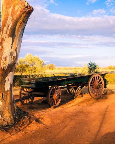 a wooden cart parked next to a tree at Blye Uitsig in Oudtshoorn