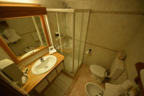 La salle de bains est pourvue d'un lavabo, de toilettes et d'une douche. dans l'établissement Albergo Alpenrose Ski&Bike Mountain Hotel, à Gressoney-Saint-Jean