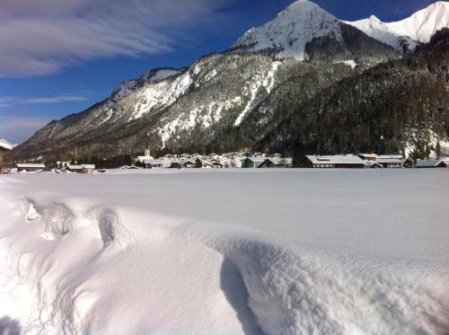 a snow covered field with a mountain in the background at Ferienwohnung Heidi in Elmen