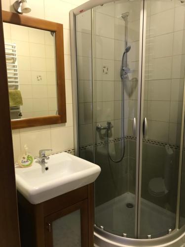 a bathroom with a sink and a shower at Pokoje do wynajęcia Magdalena Nowak in Krynica Zdrój