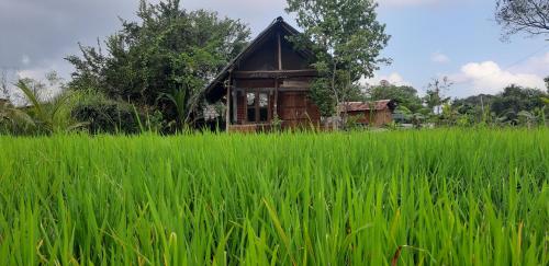 Habarana Farm Cottage – Photos 2
