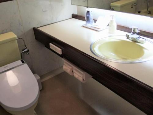 a bathroom with a sink and a toilet at R Hotels Inn Hokkaido Asahikawa in Asahikawa