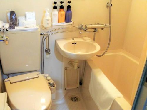 a small bathroom with a sink and a toilet at R Hotels Inn Hokkaido Asahikawa in Asahikawa