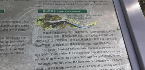 a sign for a garden with a picture of a pipe at Ze Hu B&B in Yuchi