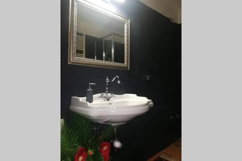 a bathroom with a white sink and a mirror at La dimora di Kinzica in Pisa