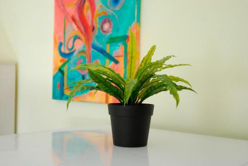 a potted plant sitting on a table in front of a painting at NEVE ZOHAR DEAD SEA in Neve Zohar