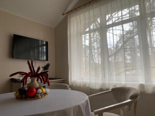 Μια τηλεόραση ή/και κέντρο ψυχαγωγίας στο Viktoria Park Hotel