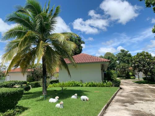 Gallery image of The Orchid House in Ban Nong Kung Yai