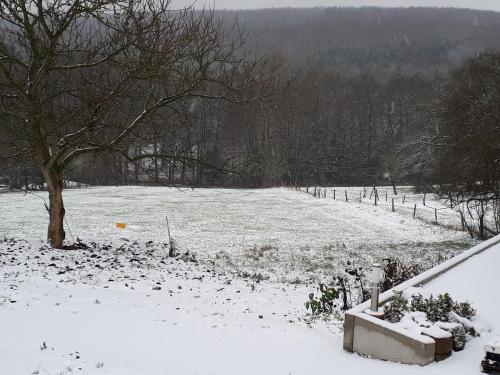 a snow covered field with a tree and a fence at kleinHOTEL Steinau-Rabenstein GbR in Steinau an der Straße