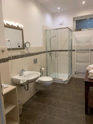 ein Badezimmer mit Toilette, Waschbecken und Dusche in der Unterkunft Appartment 5 in Braunlage