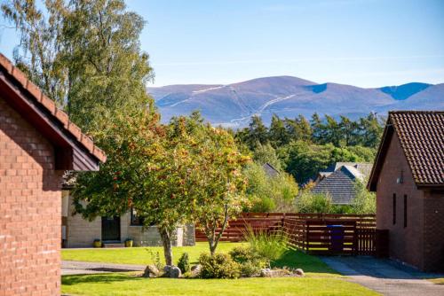 a house with a tree in a yard with mountains in the background at Silverglades Holiday Homes in Aviemore