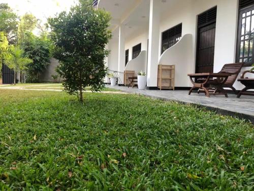 a green lawn in front of a building with a tree at skyresort in Tangalle
