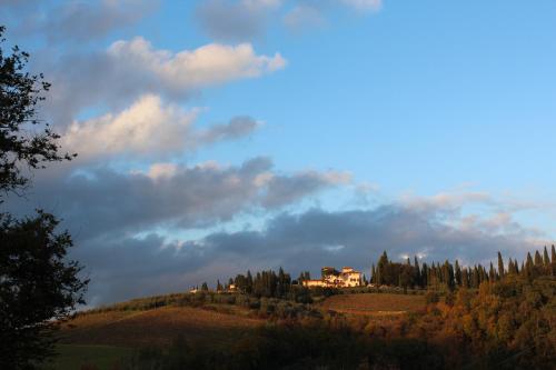 a house on top of a hill with trees at Il Cielo Bio - Il più piccolo B&B del Chianti in Greve in Chianti