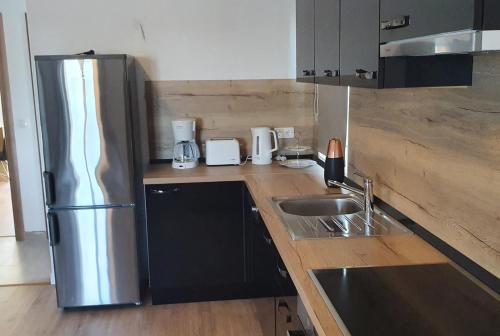 Dapur atau dapur kecil di Crni apartman