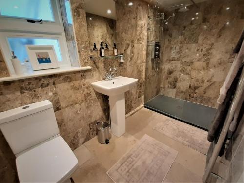 a bathroom with a sink and a toilet and a shower at Woodlands Cottage Farm in Wickham