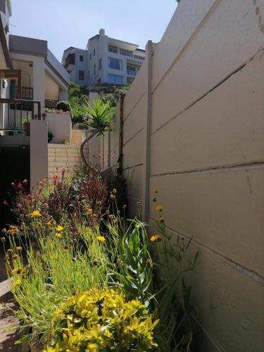 a garden with yellow flowers next to a building at Froggy at the Pond in Simonʼs Town