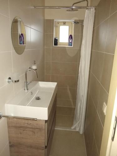 a bathroom with a sink and a shower at Folmerhuis in Oostkapelle