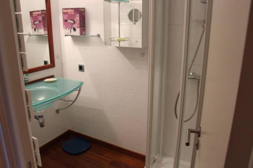 une salle de bain avec une douche en verre et un lavabo dans l'établissement La magie du Port de Vannes et son centre historique à pied et 2 places de parking en souterrain, à Vannes