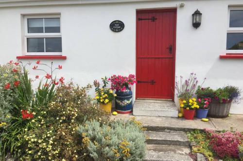Zahrada ubytování Red Stonecutters Cottage, Doolin
