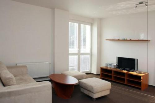 TV a/nebo společenská místnost v ubytování Lovely apartment in the heart of Tatranska Strba