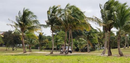  THE GOOD LIFE -  Room  picture :   Tea/Coffee maker    Shower    TV                           