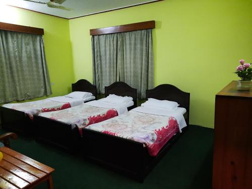two beds in a room with green walls at New Pokhara Lodge and Home Stay in Pokhara