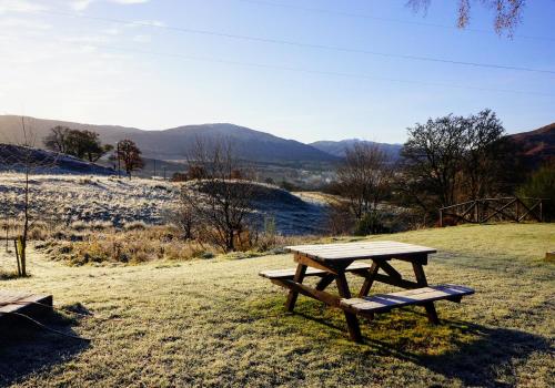 a picnic table sitting on top of a field at Woodland Gean Lodge in Killin